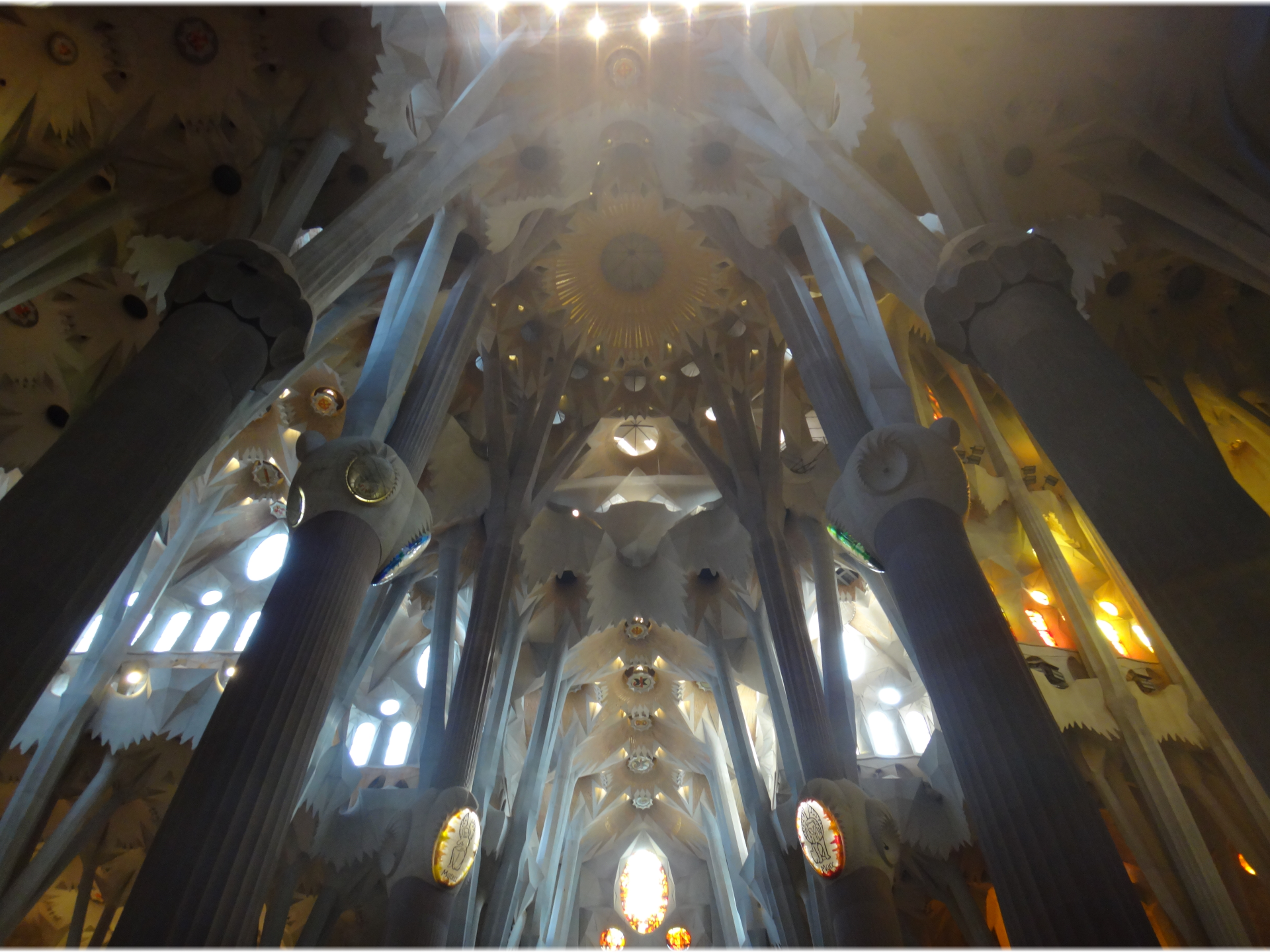 Sagrada